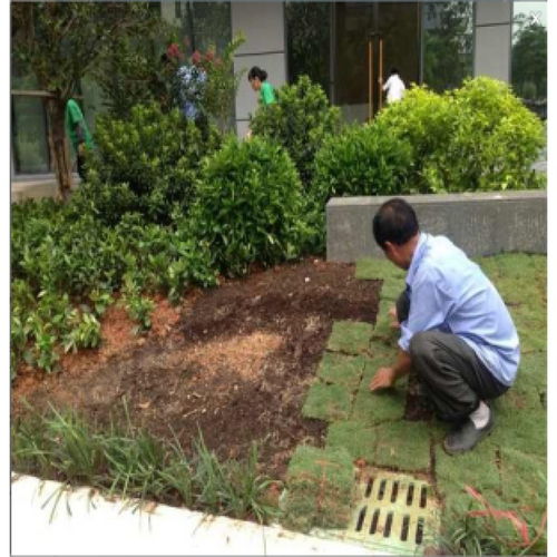 沙溪鎮(zhèn)園林綠化工程施工與養(yǎng)護(hù)